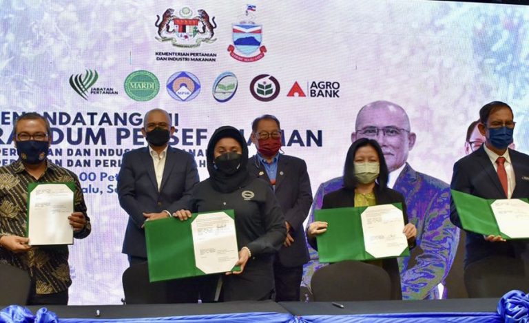 Kerjasama kembangkan industri nanas di Sabah diteruskan melalui kerjasama strategik antara MAFI, MAF Sabah dan LPNM