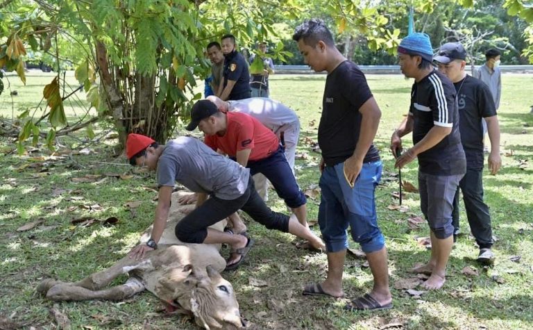 Warga UMS, Penduduk Setempat Rai Aidiladha di Masjid UMS