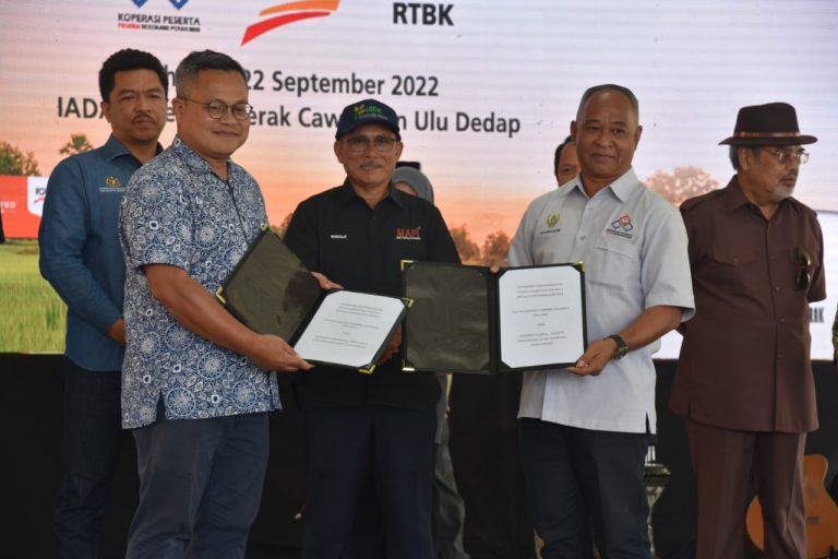 Pengeluran padi negara meningkat sebanyak 3.1 peratus