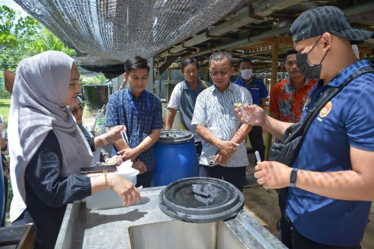 UMS anjur program latihan hapus tempat pembiakan Aedes