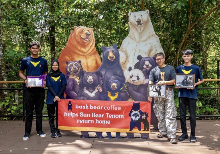 Bask Bear Coffee Membantu Tenom Kembali Ke Habitat Asalnya