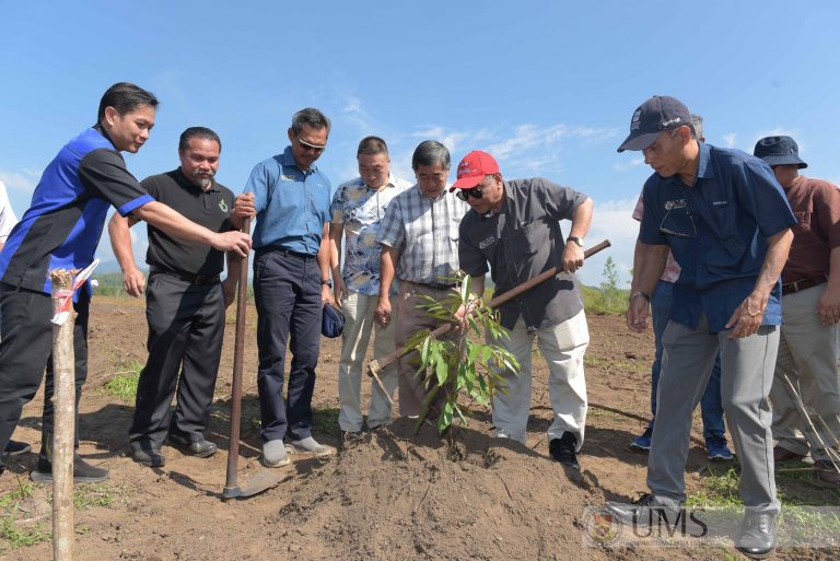 UMS – Yun Fook Resources bangunkan penyelidikan perladangan kelapa sawit di Keningau
