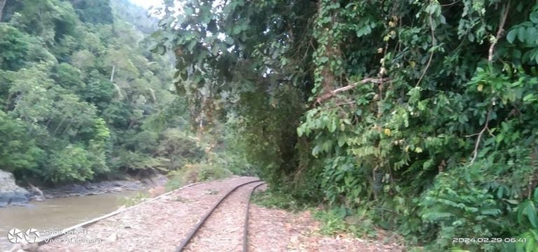 Perkhidmatan keretapi Stesen Beaufort ke Rayoh belum beroperasi