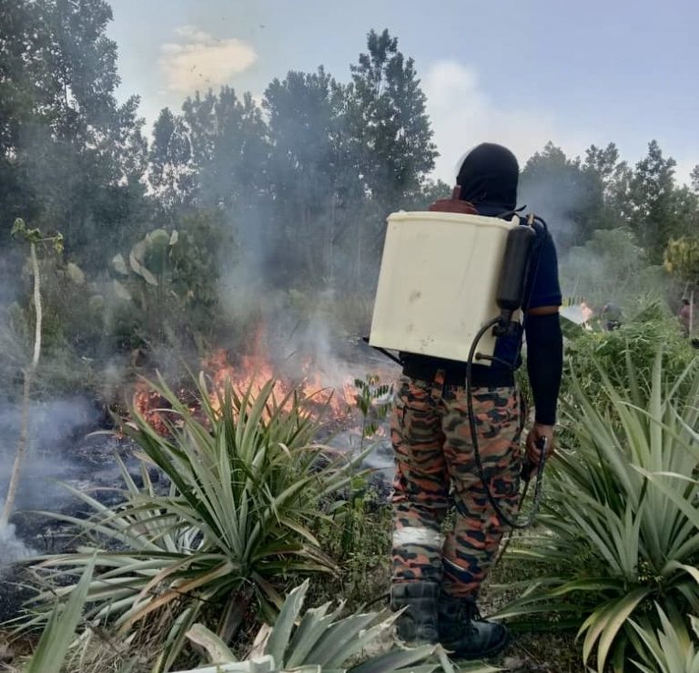Ronald minta Kerajaan Negeri menerusi Jawatankuasa Bencana bantu tangani kebakaran hutan di Paitan
