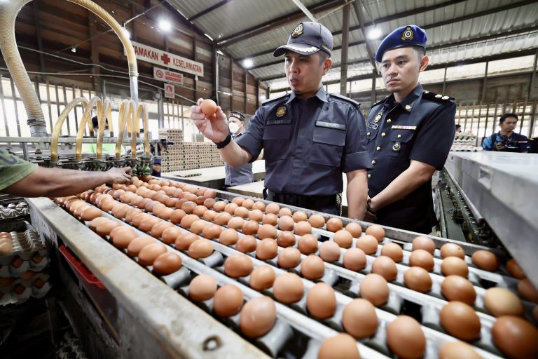 Peniaga perlu patuhi arahan penurunan harga telur ayam