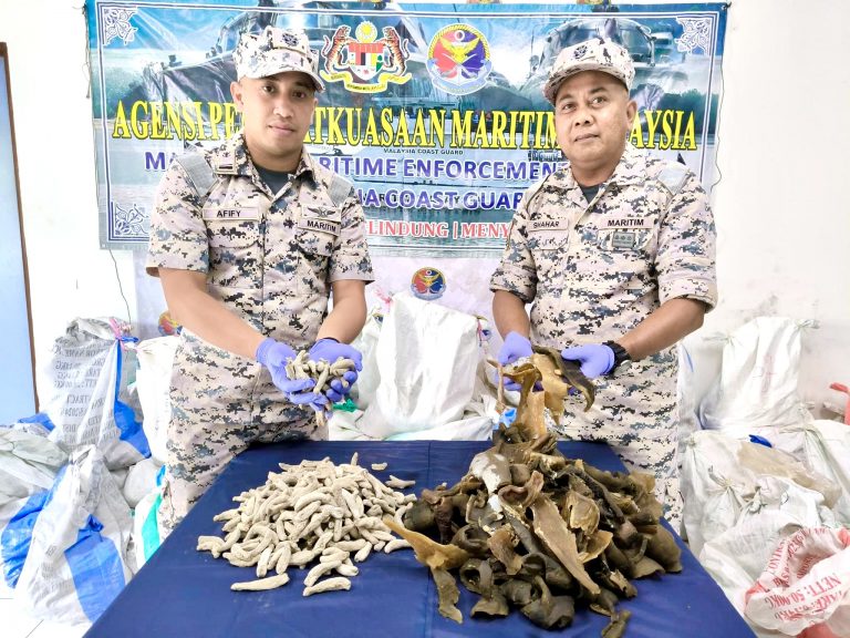Dua lelaki tempatan ditahan cuba seludup balat dan daging penyu