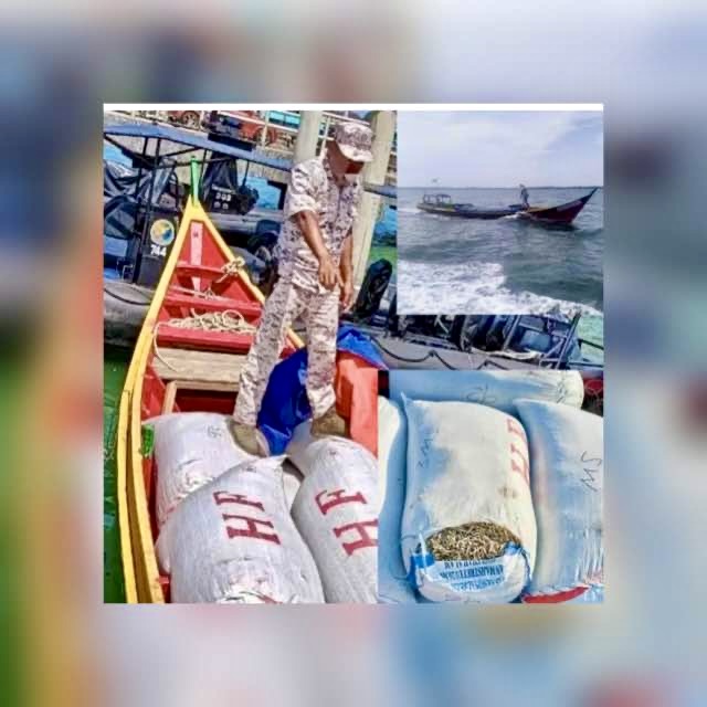 Tekong pemegang status MyPR  ditahan cuba seludup keluar ikan bilis ke negara jiran