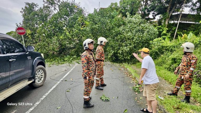 Bomba terima 23 panggilan kecemasan pokok tumbang di Sabah