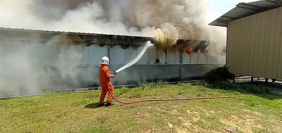 20,000 Ekor Ayam Dianggarkan Mati Dalam Kebakaran