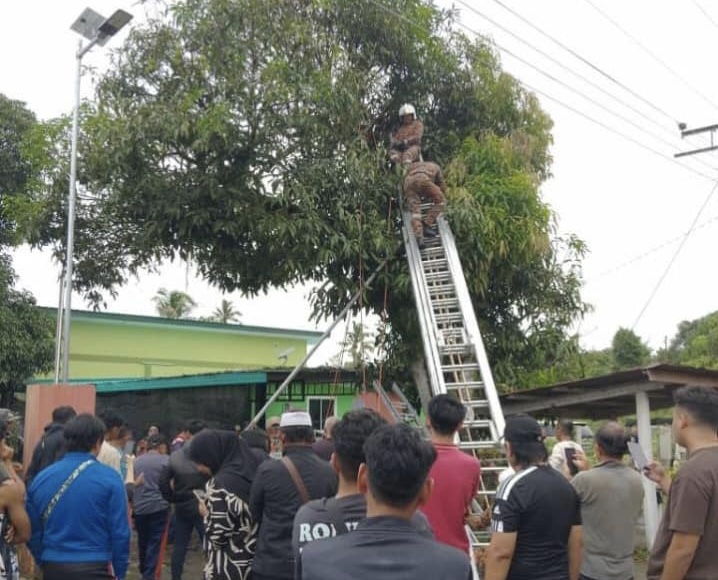 Lelaki Maut Terkena Renjatan Elektrik, Ketika Mengambil Buah Mangga