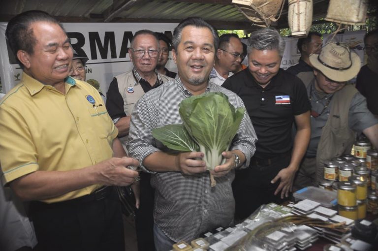 Kuyungon diangkat kampung contoh MAFFKuyungon diangkat kampung contoh MAFFI
