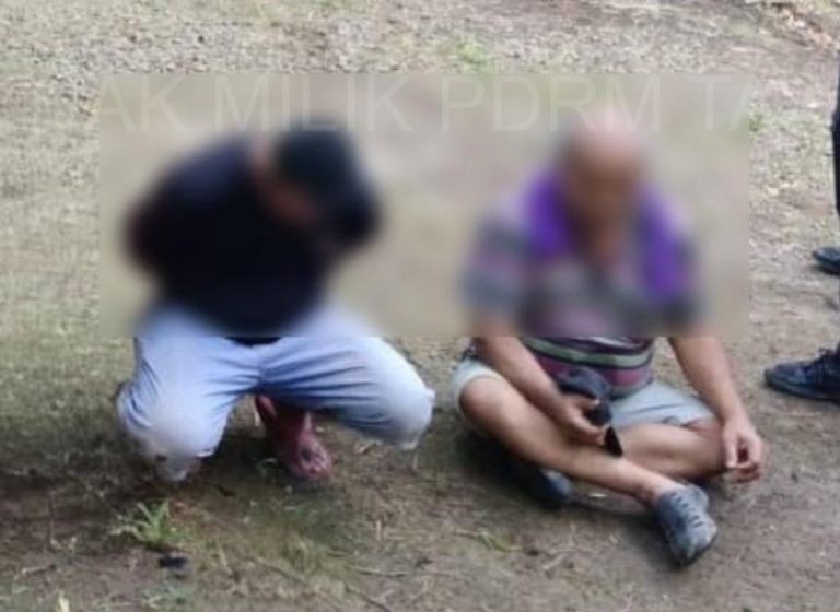 Judi sabung ayam terbongkar di ladang sawit