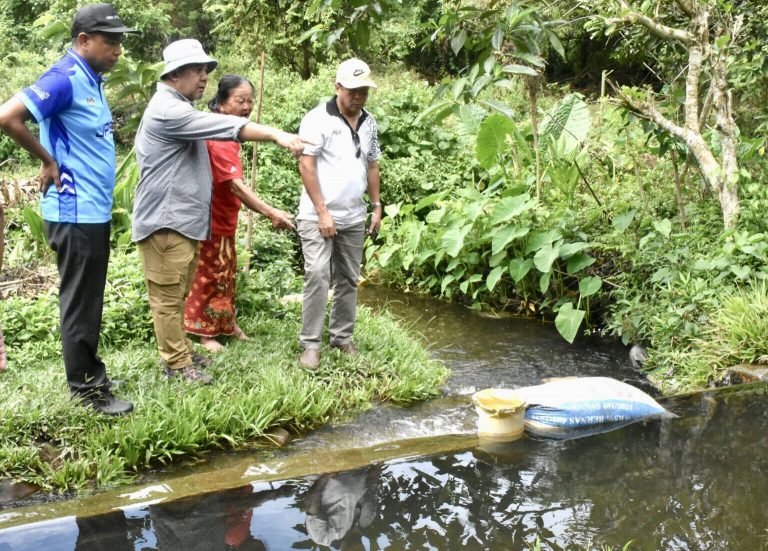 Sistem pengairan sawah di DUN Melalap akan ditambah baik – Jamawi