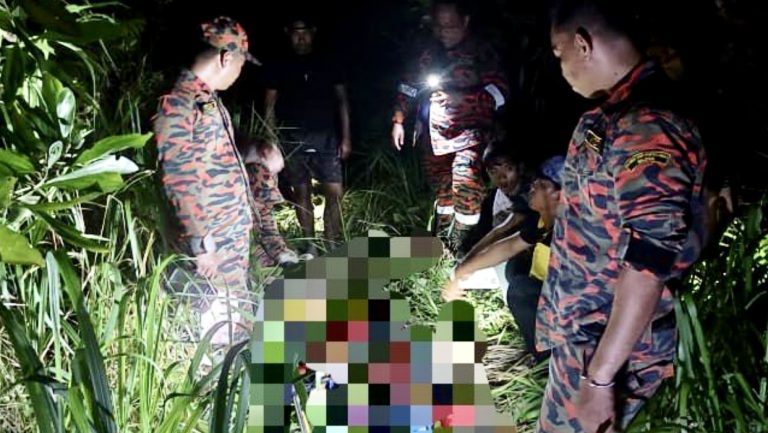 Tragedi Memburu: Lelaki Maut Terjatuh Dari Pokok di Hutan Sapoda