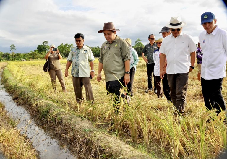 Isu pengairan sawah di Kg Piasau Dundau diberi perhatian