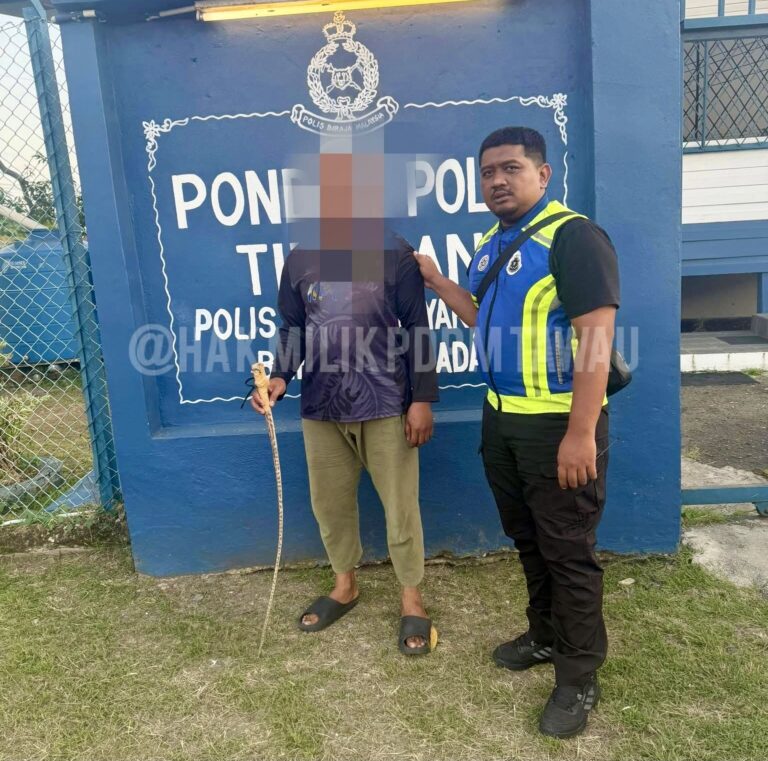 Lelaki serah diri, guna ekor pari cederakan mangsa