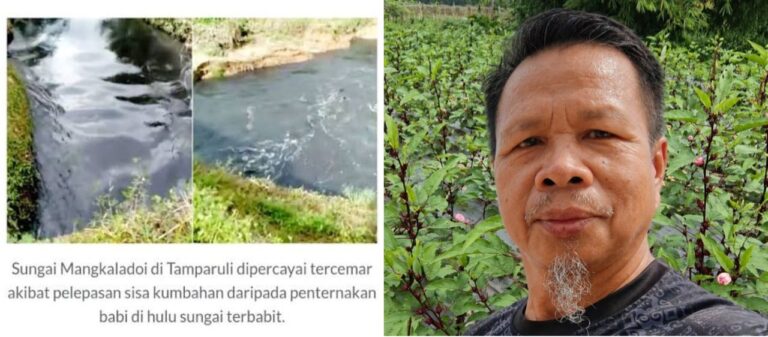 River pollution threatens the ‘Kebun Dapur’ initiative for the people