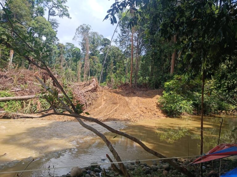 500 penduduk Tongod dakwa sungai tercemar akibat aktiviti pembalakan