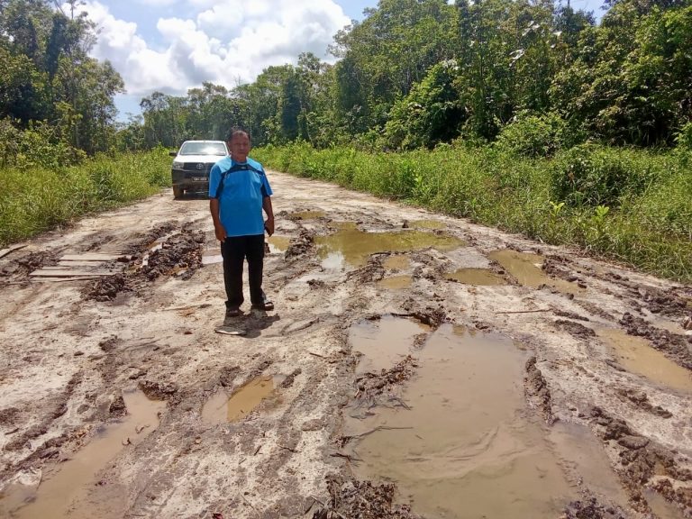 Jalan rosak paksa penduduk guna laluan estet, bimbang kecemasan berulang