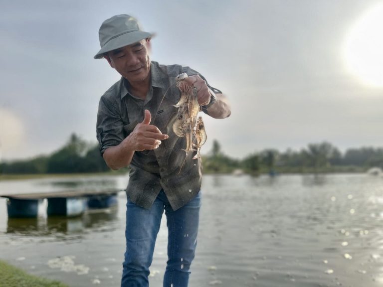 Hampir RM1 juta perkasa industri udang Beaufort