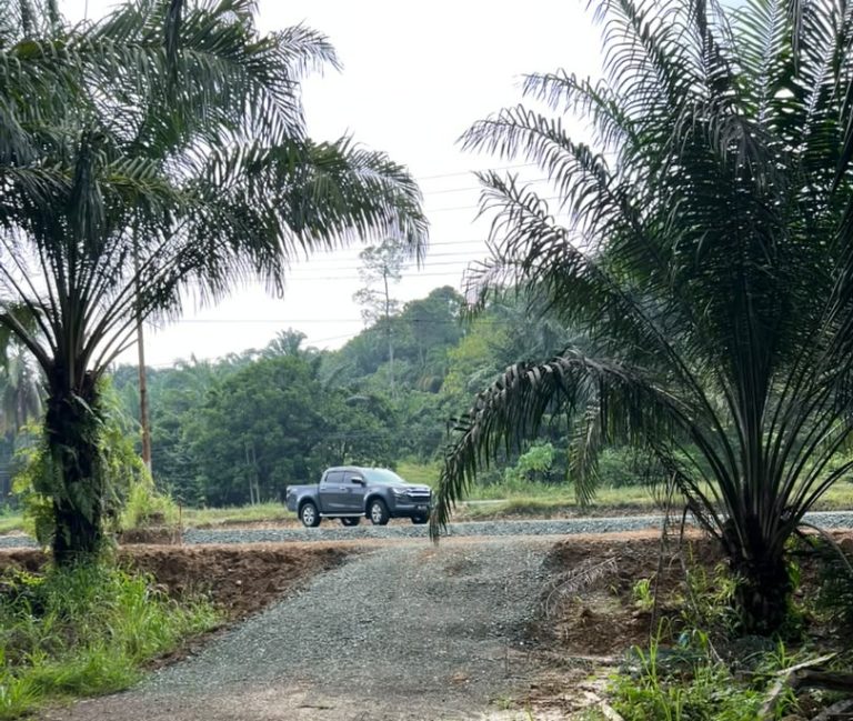 Jalan Masuk Kebun Tinggi, LPB Pakej Kerja 24, Pekebun Terjejas