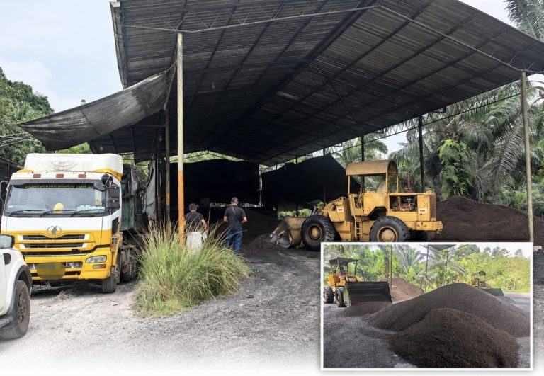 Stor isirung sawit tanpa lesen diserbu, rampasan RM709,000