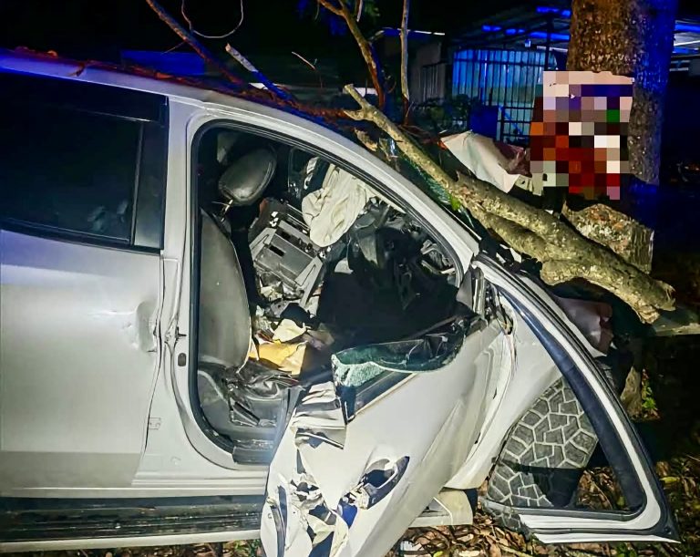 Hilang kawalan, Triton rempuh pokok